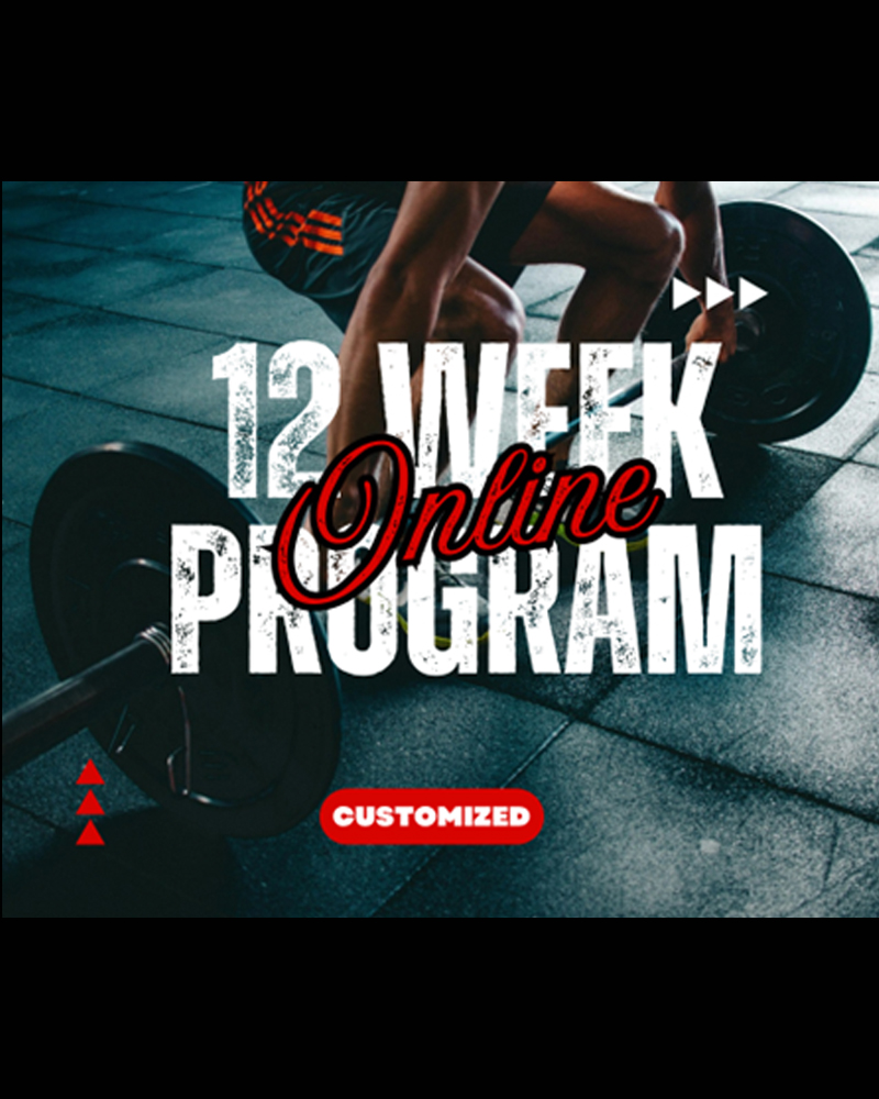 12 Week Online Program